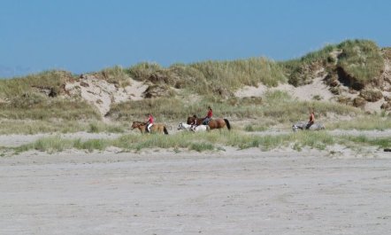 'Solina' - 500m from the sea 2