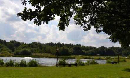 'Asulf' - 31km from the sea 4