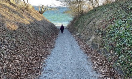 'Yakari' - 300m from the sea 3