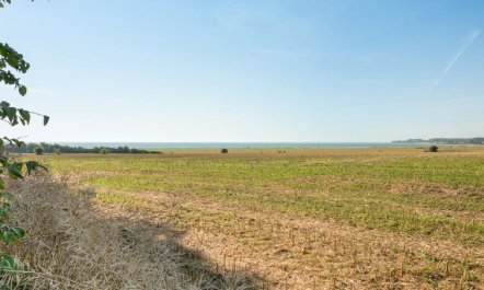 'Myrte' - 500m from the sea 2