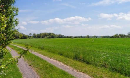 'Aarni' - 6.5km from the sea 6