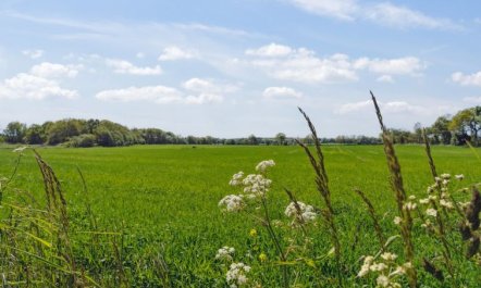 'Aarni' - 6.5km from the sea 5