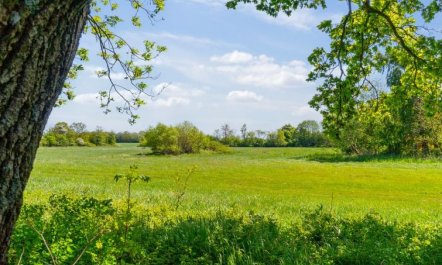 'Aarni' - 6.5km from the sea 2