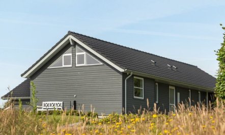 'Damiana' - 500m from the sea 6