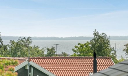 'Damiana' - 500m from the sea 4