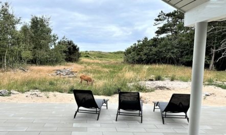 'Jorn' - 75m from the sea 7