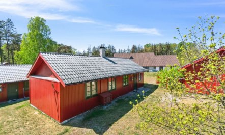 'Gubbe' - 300m from the sea 4