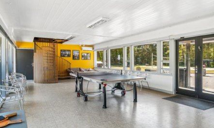 'Gubbe' - 300m from the sea 2