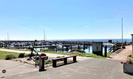 'Irma' - 25m from the sea 4