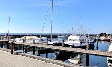 'Irma' - 25m from the sea 3