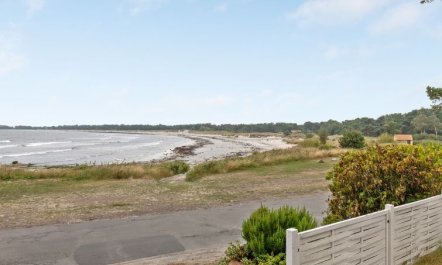 'Bilal' - 20m from the sea 5