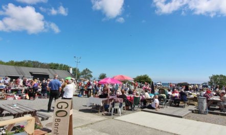 'Bilal' - 20m from the sea 4