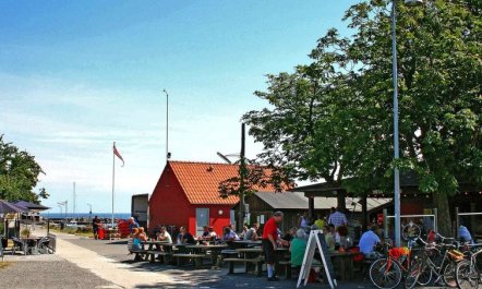 'Ømunde' - 150m from the sea 4