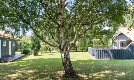 'Dorti' - 725m from the sea 3