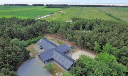 'Liliana' - 800m from the sea