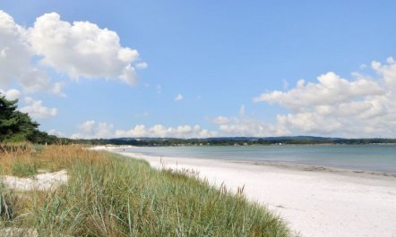 'Berthilde' - 400m from the sea 3