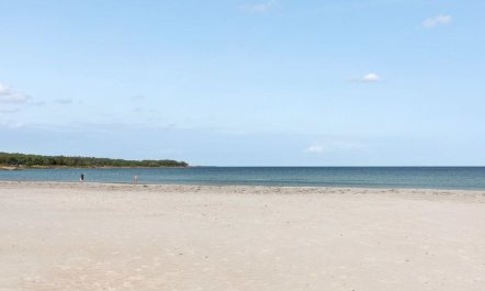 'Widerik' - 260m from the sea 6