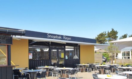 'Widerik' - 260m from the sea 2