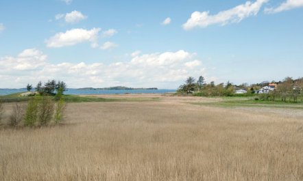 'Antti' - 350m from the sea 3