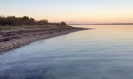 'Sissela' - 5m from the sea 6