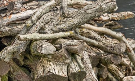 'Rether' - 400m from the sea 5