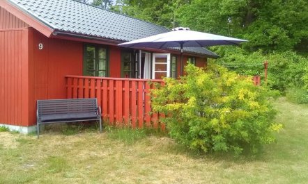 'Alde' - 300m from the sea 3