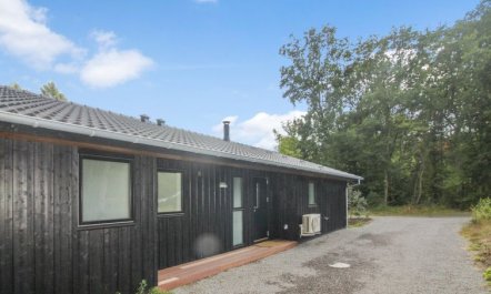 'Ellin' - 800m from the sea 6