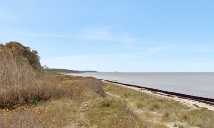 'Ellin' - 800m from the sea 5