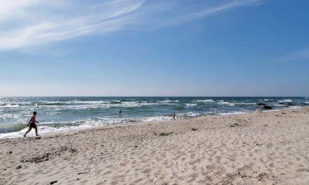 'Ellin' - 800m from the sea 4