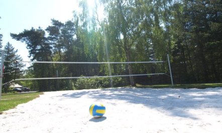 'Jose' - 300m from the sea 3