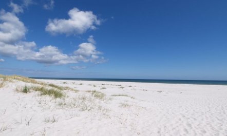 'Jose' - 300m from the sea 2