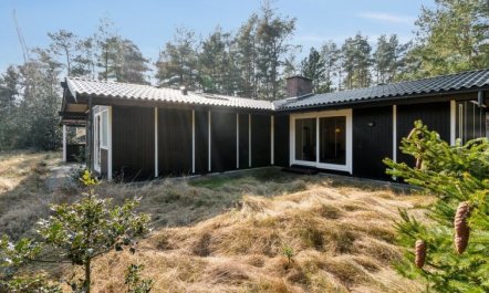 'Ahti' - 340m from the sea 6