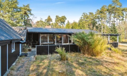 'Ahti' - 340m from the sea 2