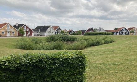 'Eike' - 250m from the sea 4