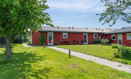 'Niyazi' - 6km from the sea 4