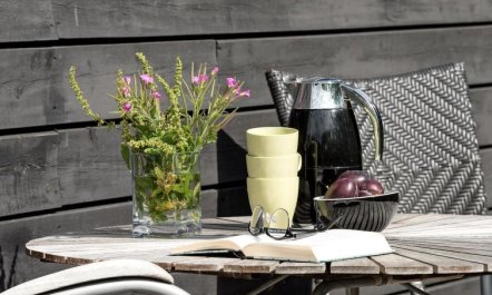 'Lyly' - 100m from the sea 6