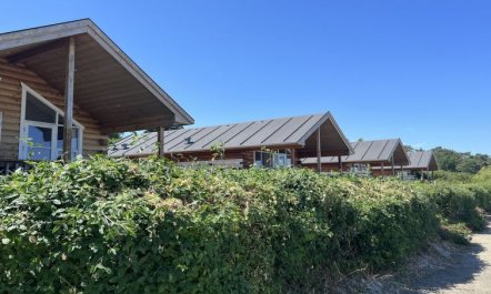 'Ghita' - 10m from the sea 3