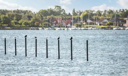 'Joar' - 5m to the fjord 3