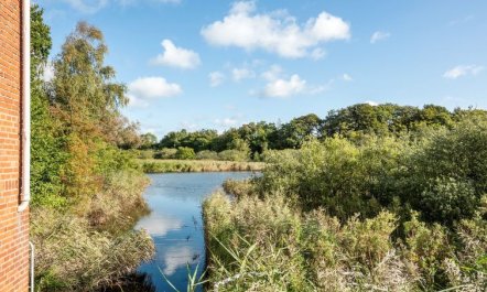 'Joar' - 5m to the fjord 1