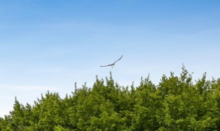 'Truels' - 30km from the sea 2