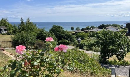 'Johanna' - 300m from the sea 1