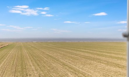 'Freja' - 12km from the sea 6