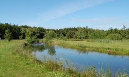 'Jani' - 25km from the sea 6