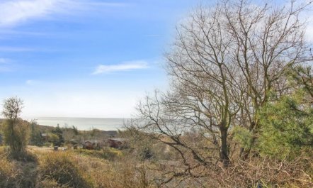 'Bondi' - 150m from the sea 3