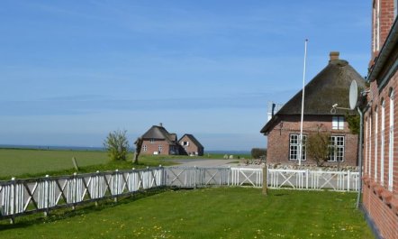 'Adine' - 13km from the sea 7