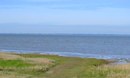 'Adine' - 13km from the sea 4