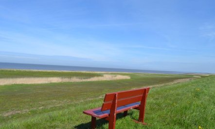 'Adine' - 13km from the sea 3