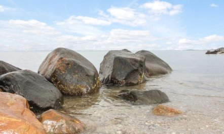 'Radojka' - 75m from the sea 4