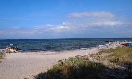 'Radojka' - 75m from the sea 3