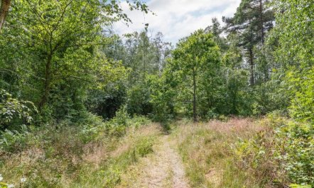 'Anarosa' - 200m from the sea 6